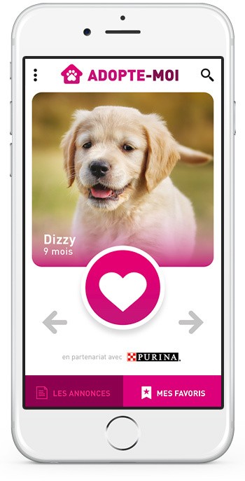 Adopte moi : application d'adoption de chiens et chats Adopte moi : application d'adoption de chiens et chats
