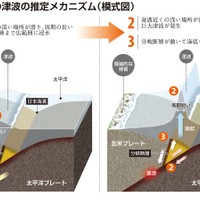 Mechanism of the 2011 earthquake in Japan