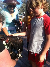 SSA Students Sebastian and Tilly up close & personal (w) Zorro. SSA Students Sebastian and Tilly up close & personal (w) Zorro.