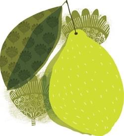 Lautasellinen iloa (Kirjapaja 2013)