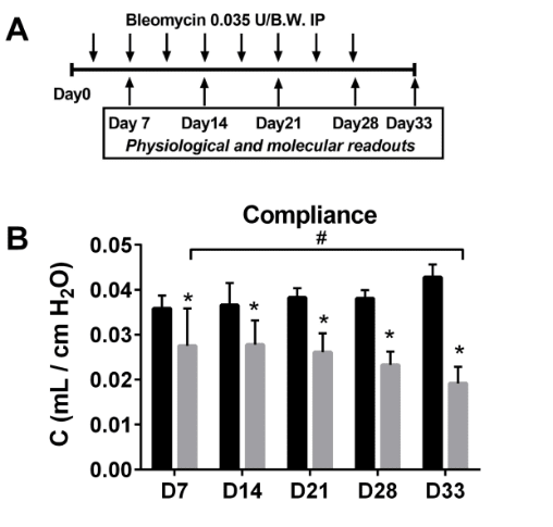 Experimental design and longitudinal compliance values
