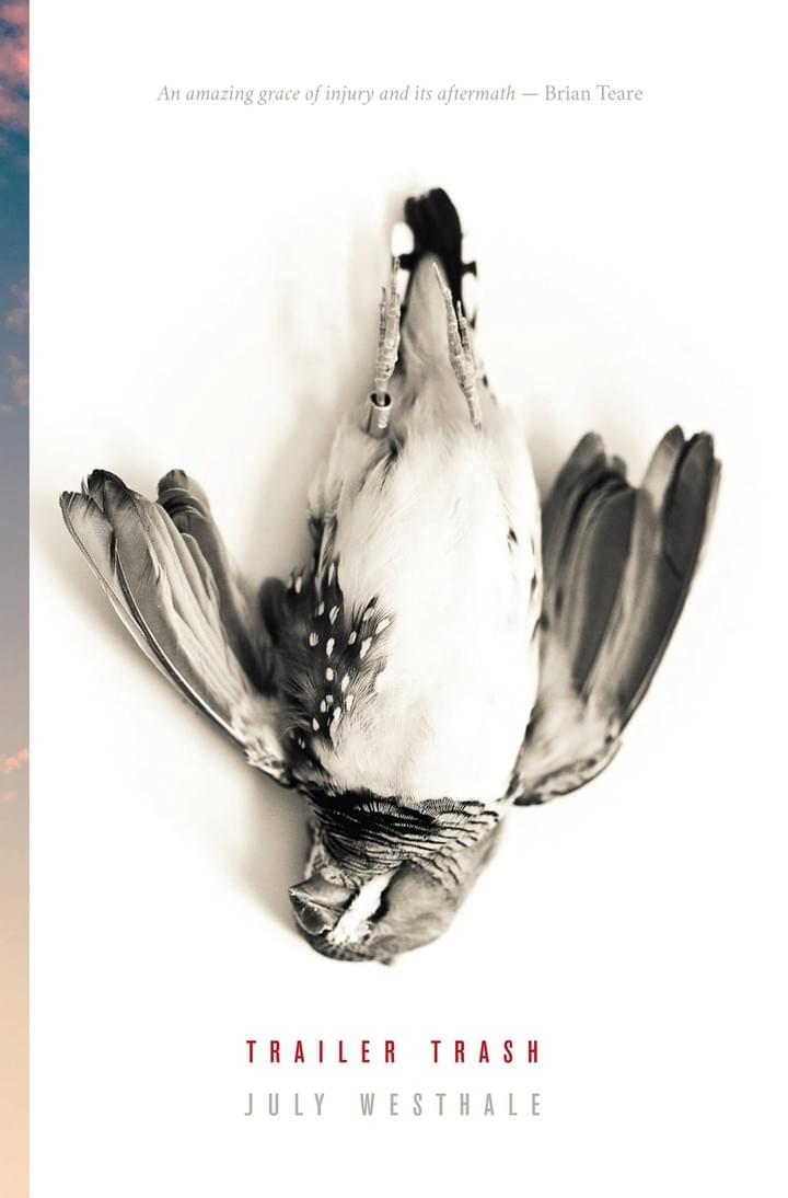 Photo credit: Leonardo Flaiban via Visual hunt / CC BY-ND Photo credit: Leonardo Flaiban via Visual hunt / CC BY-ND