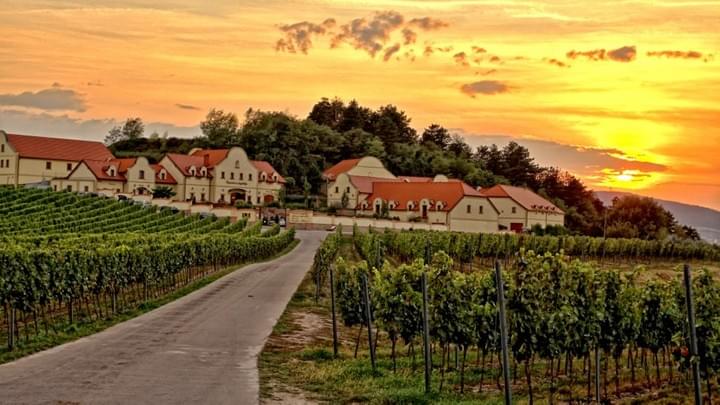 teambuilding team building outing away day nápady program vinařsví morava eventová agentura