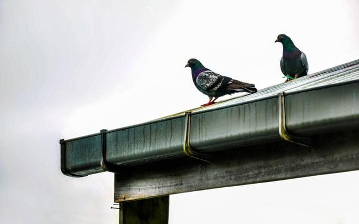 removal of asbestos in brisbane removal of asbestos in brisbane