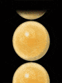 The sequences of the beads movement The sequences of the beads movement