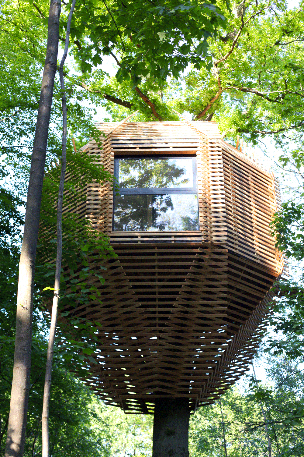 ORIGIN Tree House In a Forest in France by Atelier Lavit ORIGIN Tree House In a Forest in France by Atelier Lavit