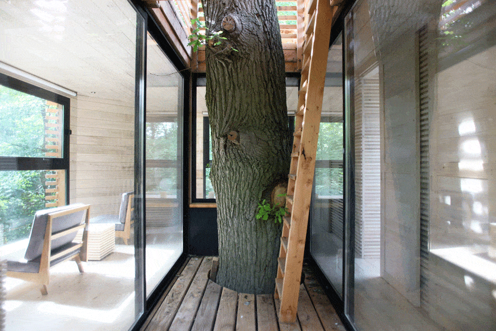 ORIGIN Tree House In a Forest in France by Atelier Lavit ORIGIN Tree House In a Forest in France by Atelier Lavit