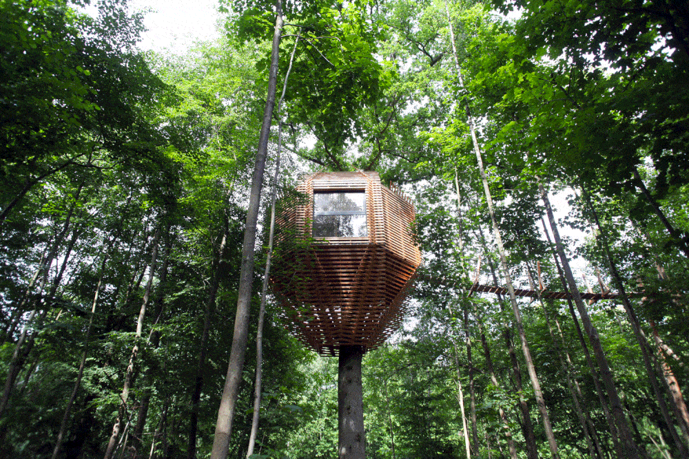 ORIGIN Tree House In a Forest in France by Atelier Lavit ORIGIN Tree House In a Forest in France by Atelier Lavit