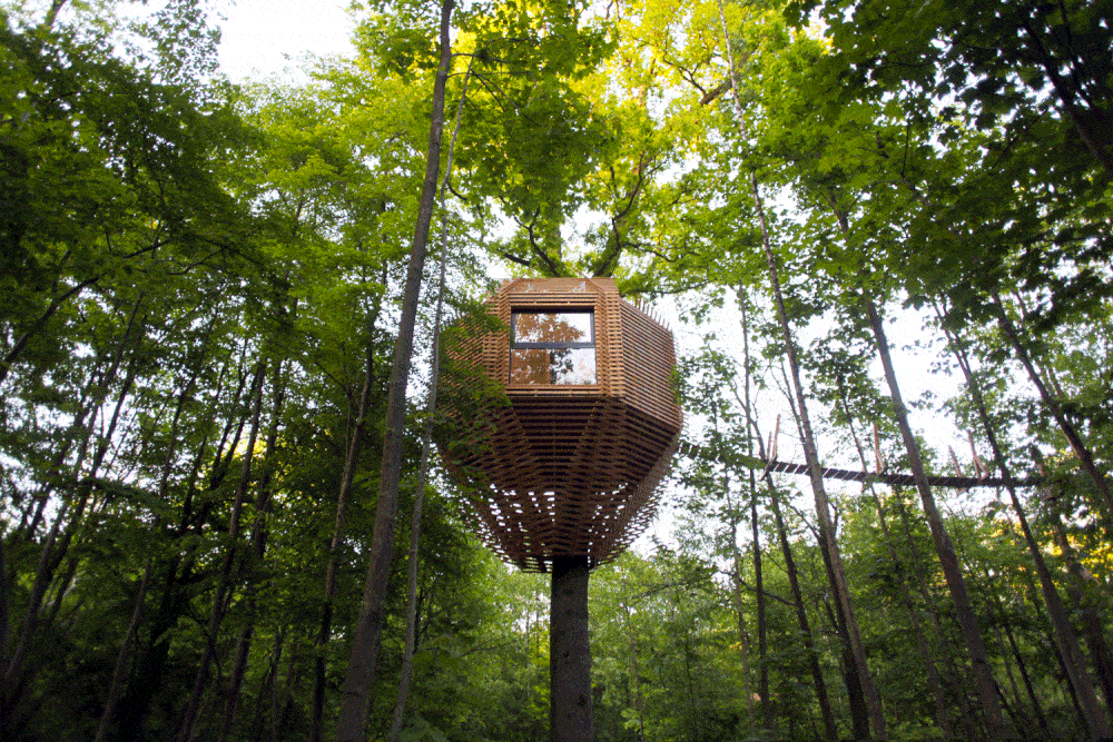 ORIGIN Tree House In a Forest in France by Atelier Lavit ORIGIN Tree House In a Forest in France by Atelier Lavit