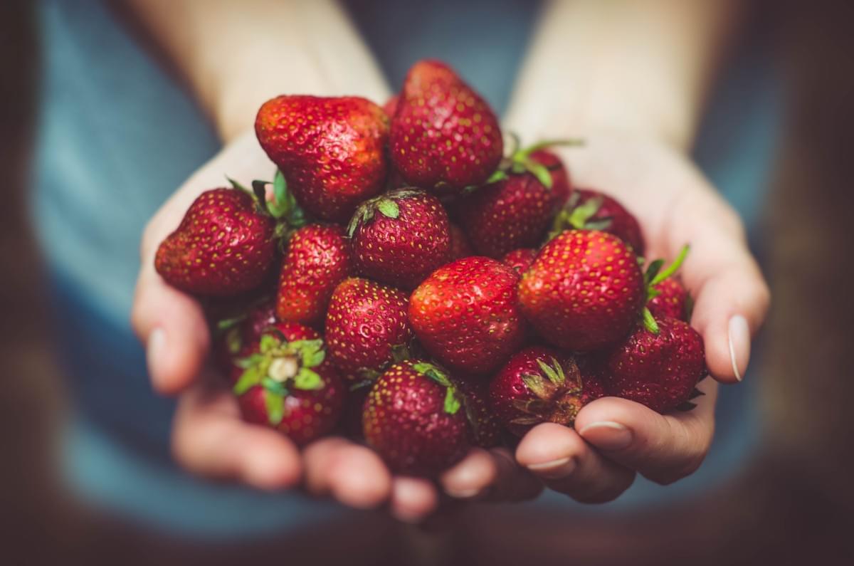 Hands holding fresh strawberries Hands holding fresh strawberries
