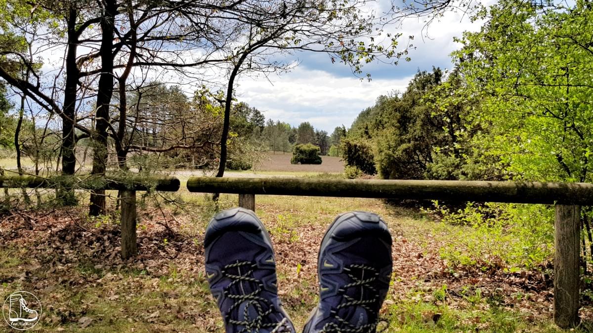 Wandern in Niedersachsen, Heidschnuckenweg, Fernwanderweg E1, Misselhorner Heide Wandern in Niedersachsen, Heidschnuckenweg, Fernwanderweg E1, Misselhorner Heide