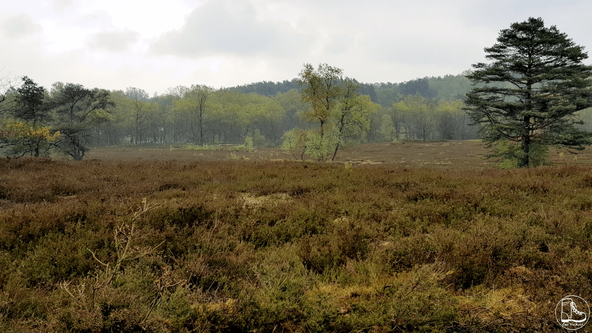 Fernwanderweg E1 Fischbeker Heide Fernwanderweg E1 Fischbeker Heide