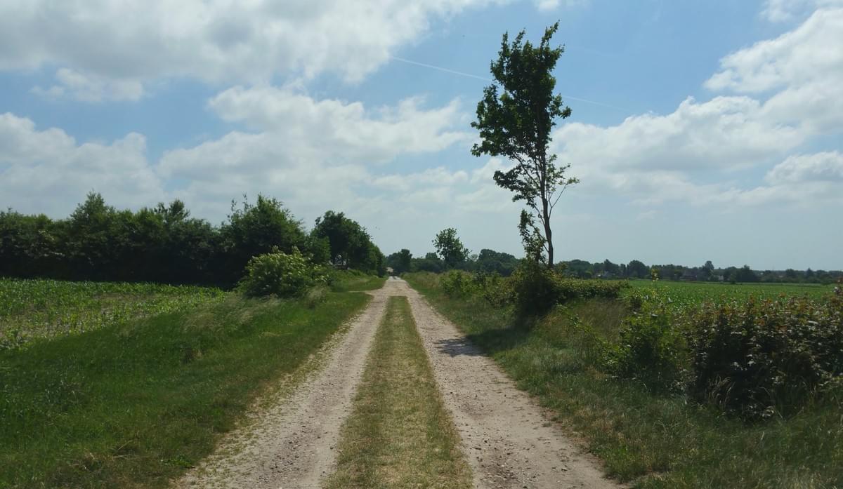 © Pia Hochhut - Cool Walking - Fenwanderweg E1 - Oeversee © Pia Hochhut - Cool Walking - Fenwanderweg E1 - Oeversee