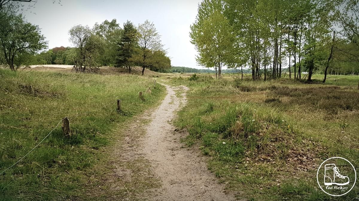 Fernwanderweg E1, Boberger Düne Fernwanderweg E1, Boberger Düne