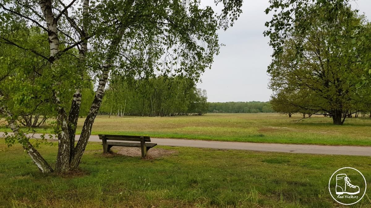 Fernwanderweg E1, Walter-Hammer-Weg Fernwanderweg E1, Walter-Hammer-Weg