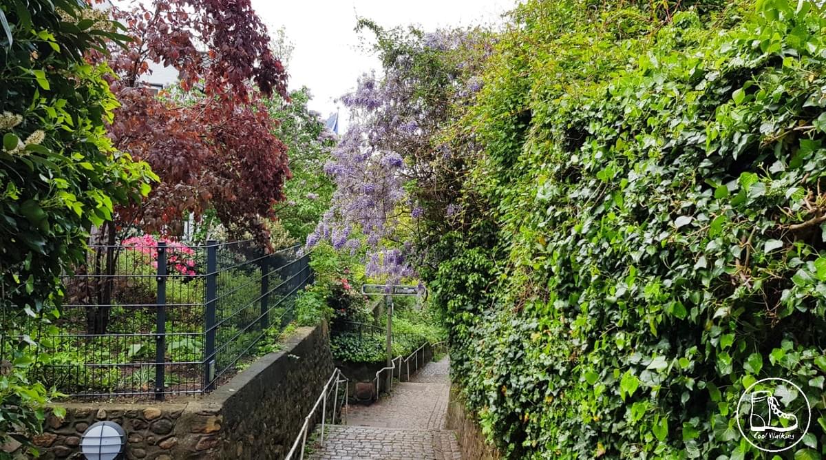 Fernwanderweg E1, Blankenese Fernwanderweg E1, Blankenese