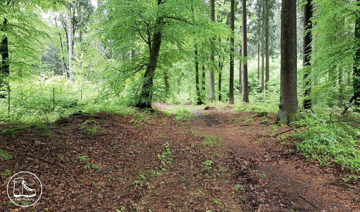 Fernwanderweg E1 Buchholz Nordheide Fernwanderweg E1 Buchholz Nordheide