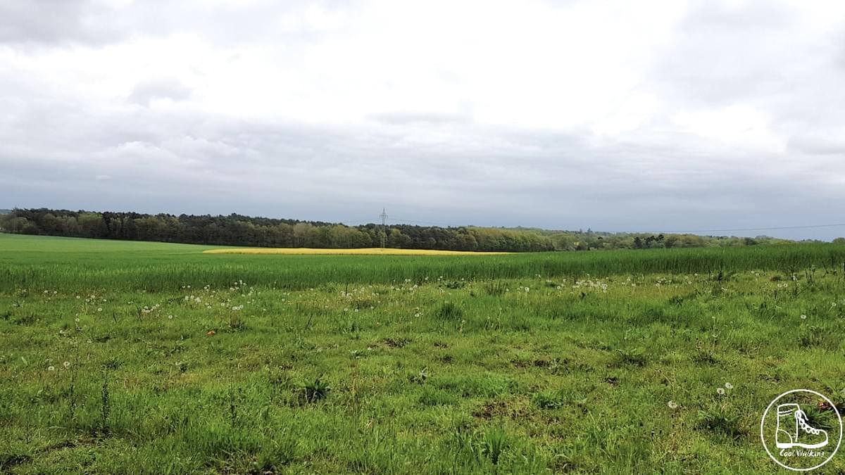 Fernwanderweg E1 Buchholz Steinbeck Fernwanderweg E1 Buchholz Steinbeck