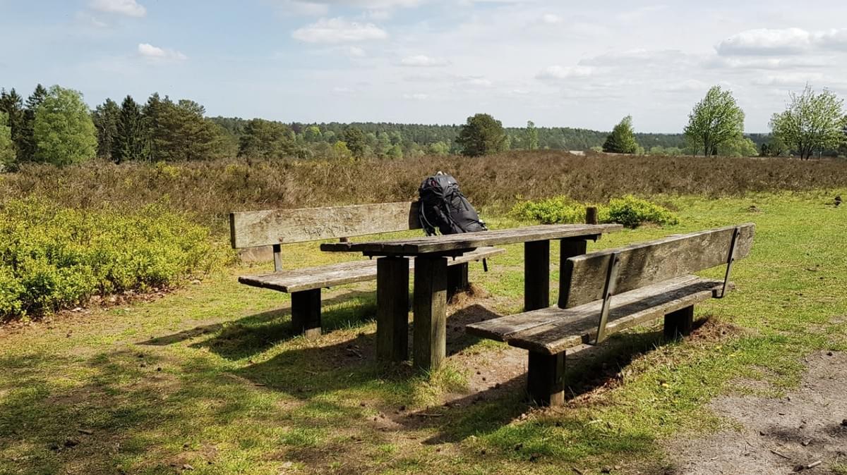 Fernwanderweg E1 Niedersachsen Cool Walking Heide Büsenbachtal Fernwanderweg E1 Niedersachsen Cool Walking Heide Büsenbachtal
