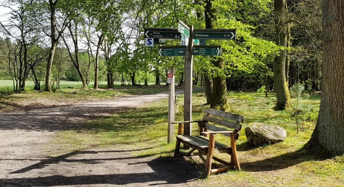 Fernwanderweg E1 Niedersachsen Undeloh Wesel Cool Walking Fernwanderweg E1 Niedersachsen Undeloh Wesel Cool Walking