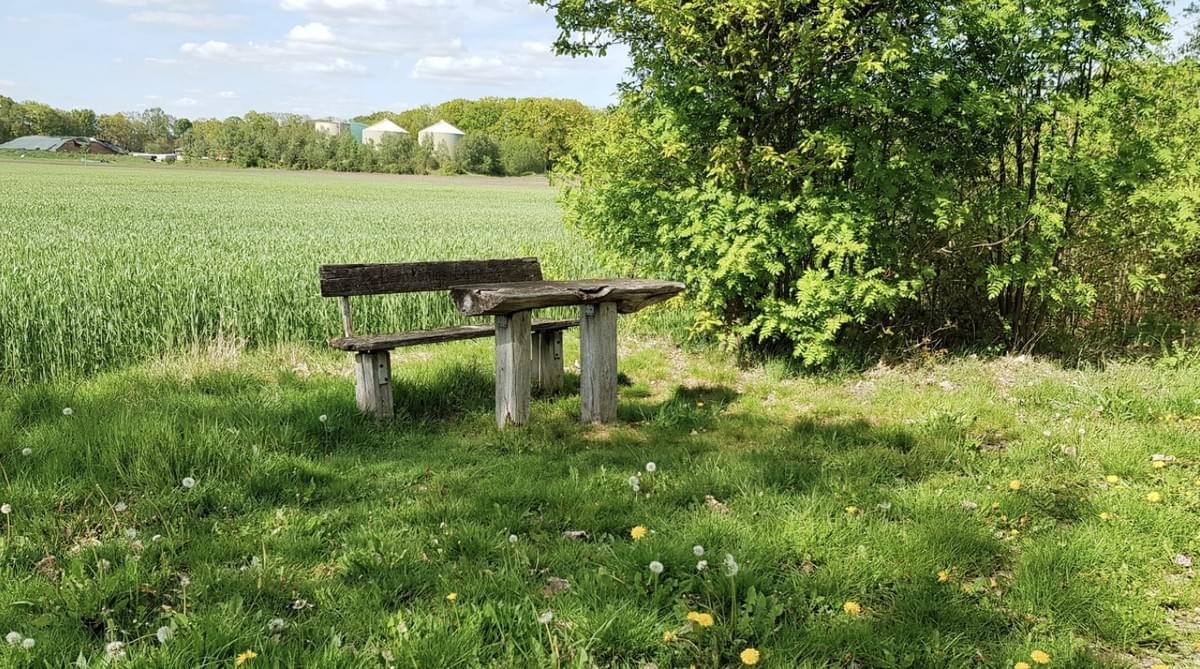 Fernwanderweg E1 Niedersachsen Undeloh Wesel Cool Walking Fernwanderweg E1 Niedersachsen Undeloh Wesel Cool Walking