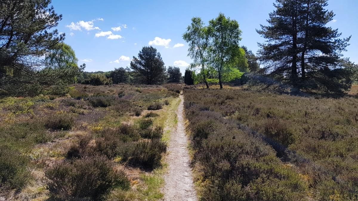 Fernwanderweg E1 Niedersachsen, Wilsede, Wilseder Berg, Heidschnuckenweg, Cool Walking Fernwanderweg E1 Niedersachsen, Wilsede, Wilseder Berg, Heidschnuckenweg, Cool Walking