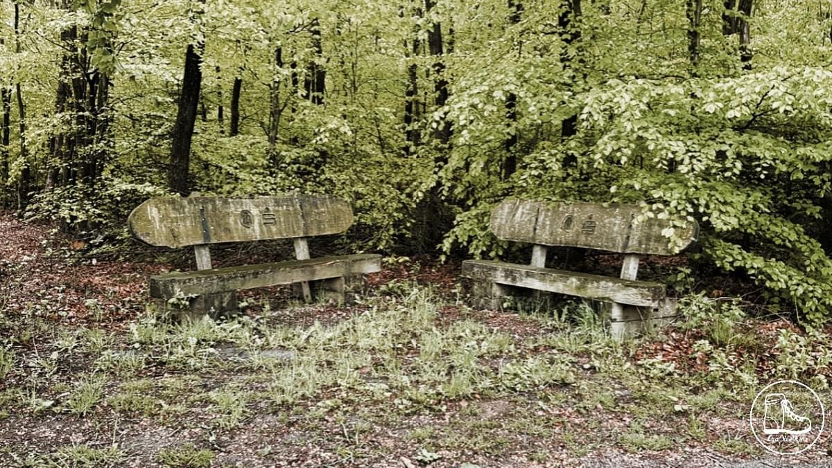 Fernwanderweg E1 Cool Walking Niedersachsen Buchholz Nordheide Fernwanderweg E1 Cool Walking Niedersachsen Buchholz Nordheide