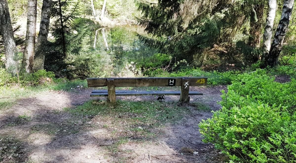 Fernwanderweg E1 Niedersachsen, Heidschnuckenweg, Bispingen, Cool Walking Fernwanderweg E1 Niedersachsen, Heidschnuckenweg, Bispingen, Cool Walking