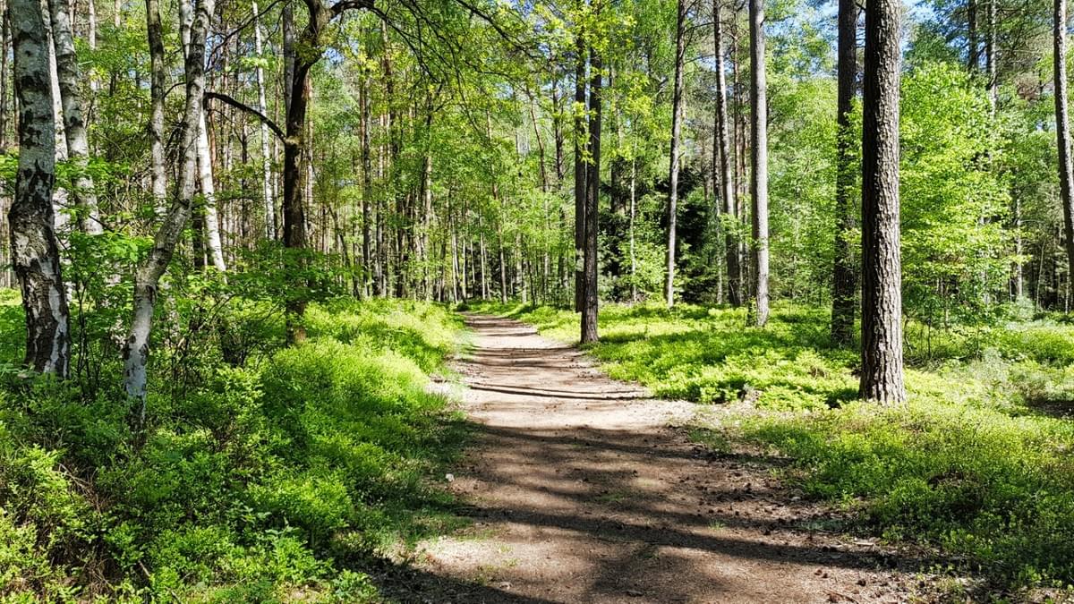 Fernwanderweg E1 Niedersachsen, Heidschnuckenweg, Soltau, Cool Walking Fernwanderweg E1 Niedersachsen, Heidschnuckenweg, Soltau, Cool Walking