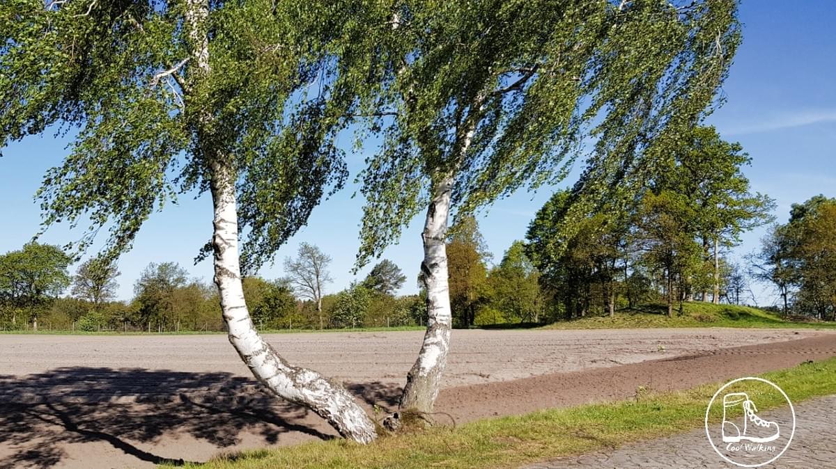 Fernwanderweg E1 Niedersachsen, Heidschnuckenweg, Soltau-Brock, Cool Walking Fernwanderweg E1 Niedersachsen, Heidschnuckenweg, Soltau-Brock, Cool Walking
