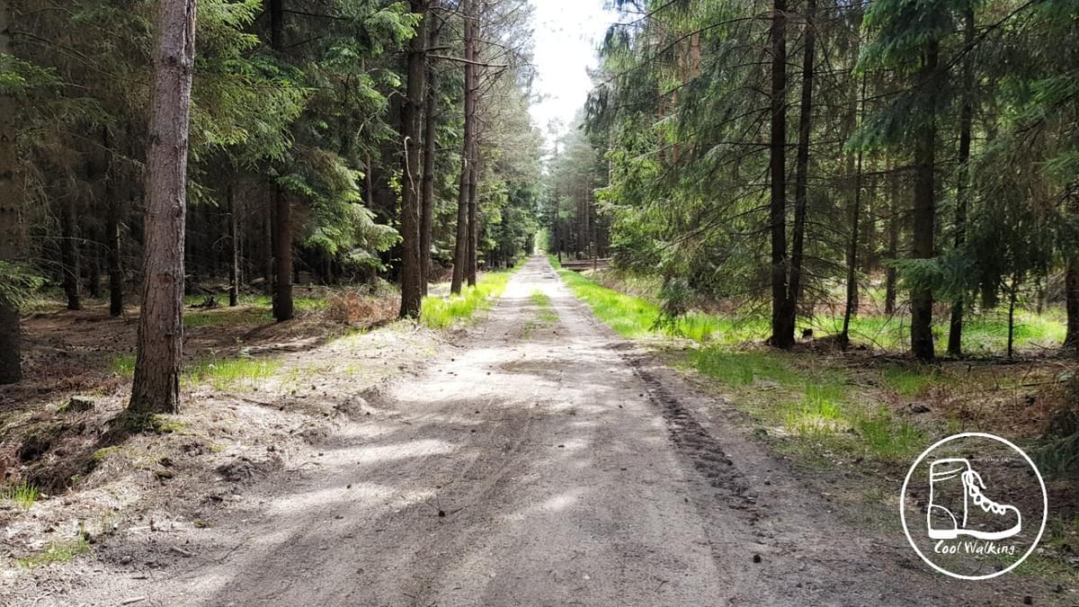 Fernwanderweg E1 Niedersachsen, Heidschnuckenweg, Wietzendorf, Cool Walking Fernwanderweg E1 Niedersachsen, Heidschnuckenweg, Wietzendorf, Cool Walking