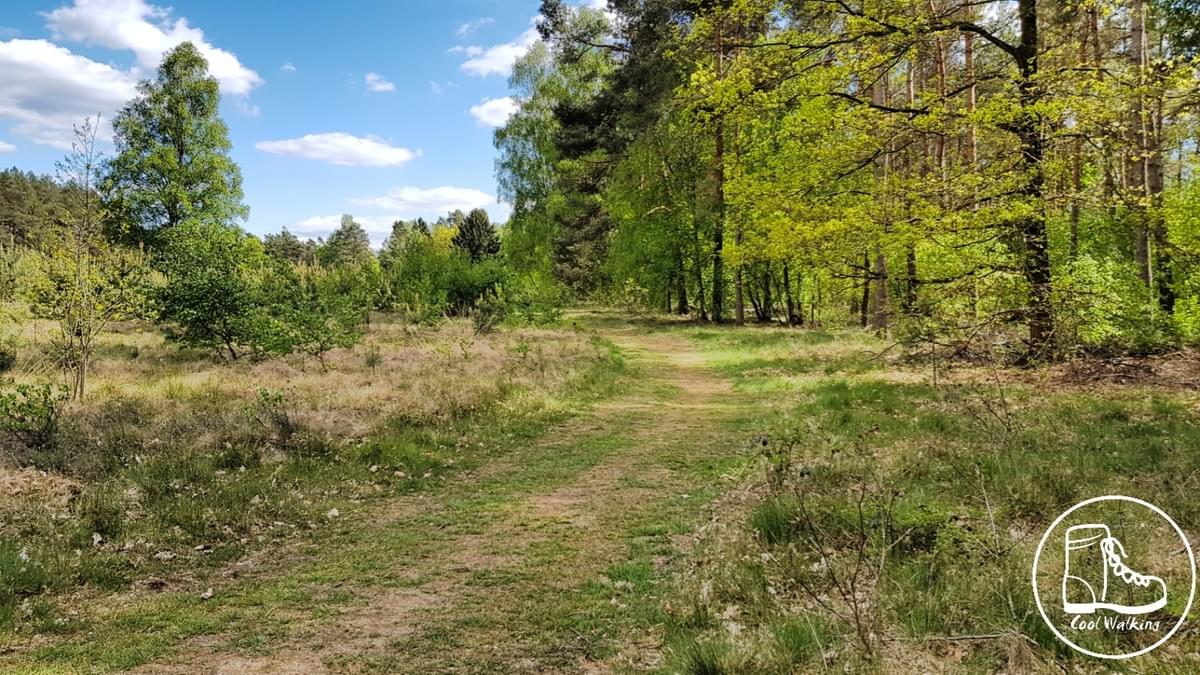 Fernwanderweg E1 Niedersachsen, Heidschnuckenweg, Wietzer Berg, Cool Walking Fernwanderweg E1 Niedersachsen, Heidschnuckenweg, Wietzer Berg, Cool Walking