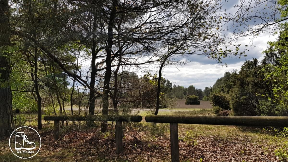 Fernwanderweg E1 Niedersachsen, Heidschnuckenweg, Misselhorner Heide, Cool Walking Fernwanderweg E1 Niedersachsen, Heidschnuckenweg, Misselhorner Heide, Cool Walking