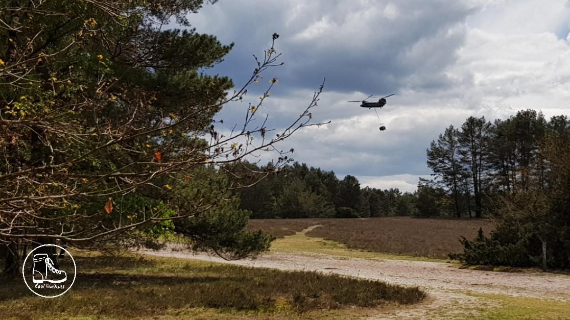Fernwanderweg E1 Niedersachsen, Heidschnuckenweg, Misselhorner Heide, Cool Walking Fernwanderweg E1 Niedersachsen, Heidschnuckenweg, Misselhorner Heide, Cool Walking