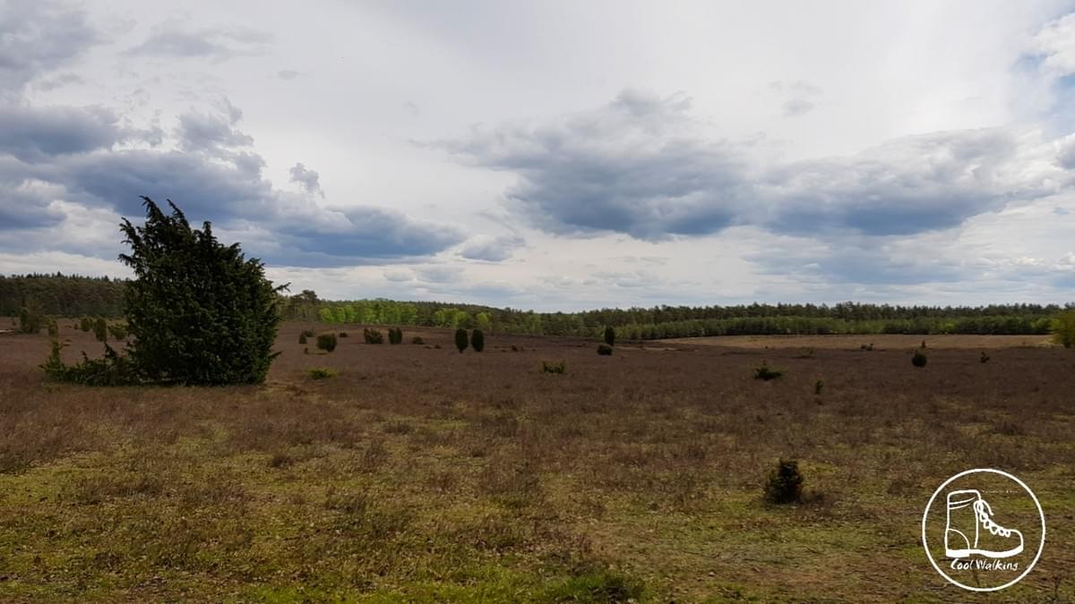 Fernwanderweg E1 Niedersachsen, Heidschnuckenweg, Heide, Cool Walking Fernwanderweg E1 Niedersachsen, Heidschnuckenweg, Heide, Cool Walking