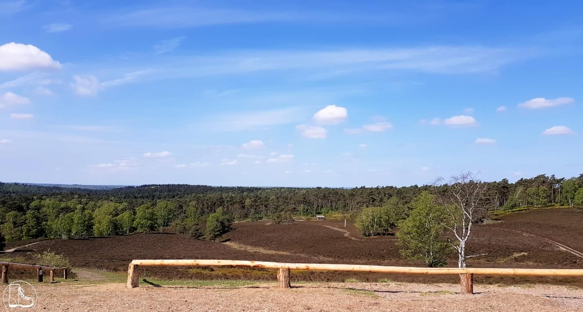 Fernwanderweg E1 Niedersachsen Cool Walking Heide Brunsberg Fernwanderweg E1 Niedersachsen Cool Walking Heide Brunsberg