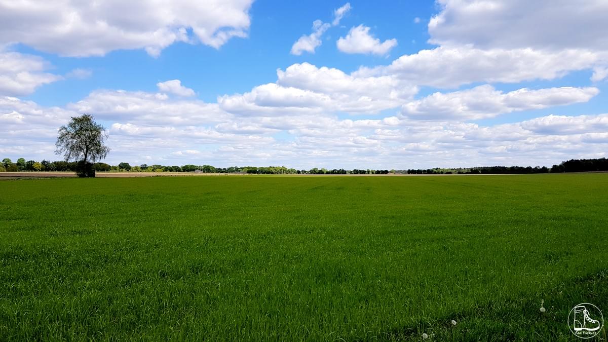 Wandern in Niedersachsen, E1 Wandern in Niedersachsen, E1