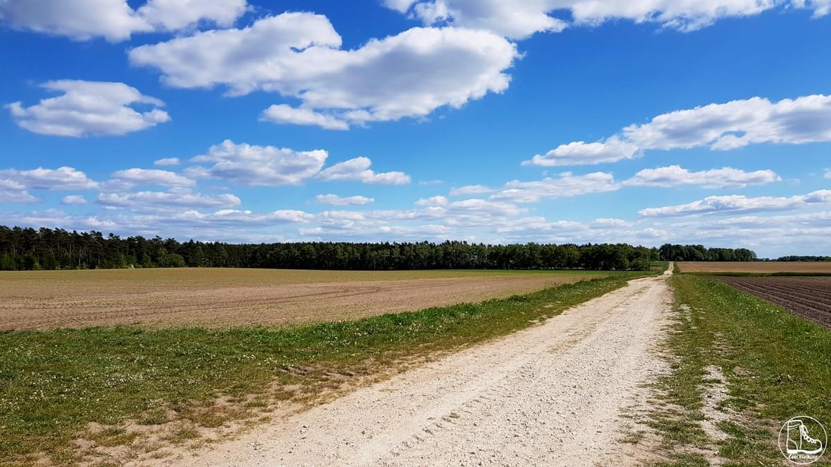 Wandern in Niedersachsen auf dem Fernwanderweg E1 Wandern in Niedersachsen auf dem Fernwanderweg E1