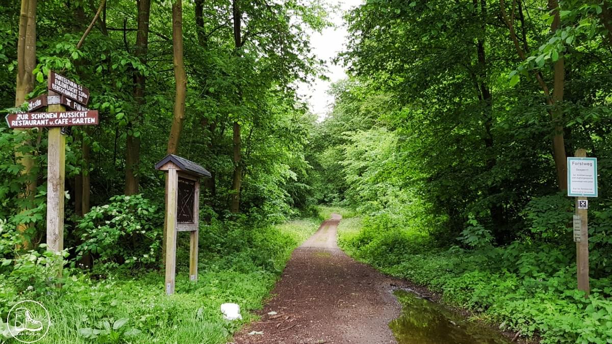 Fernwanderung auf dem E1 in Niedersachsen, Süntel Fernwanderung auf dem E1 in Niedersachsen, Süntel