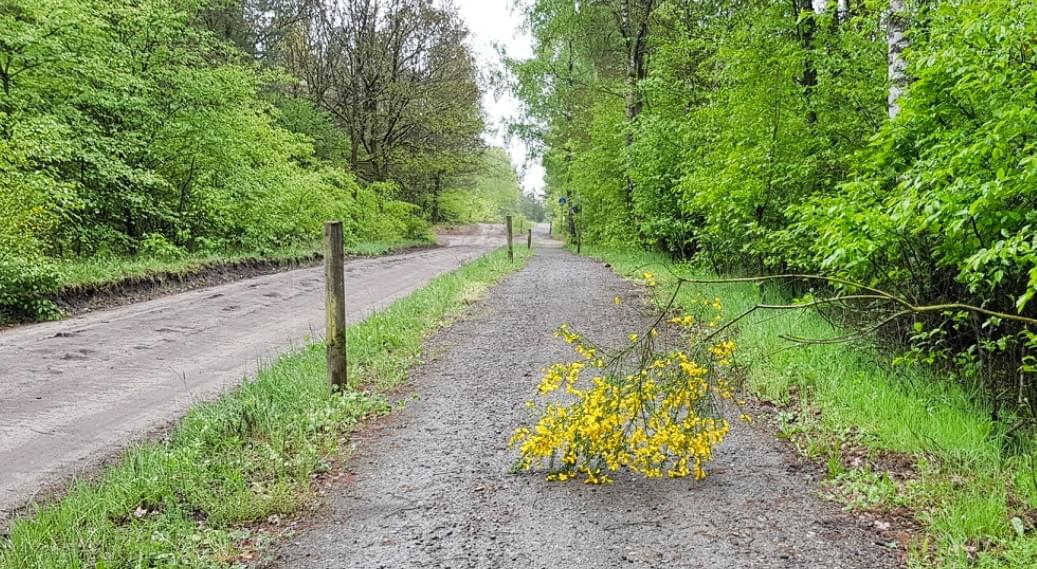 Fernwanderweg E1 Niedersachsen, Heidschnuckenweg, Oldendorf, Cool Walking Fernwanderweg E1 Niedersachsen, Heidschnuckenweg, Oldendorf, Cool Walking