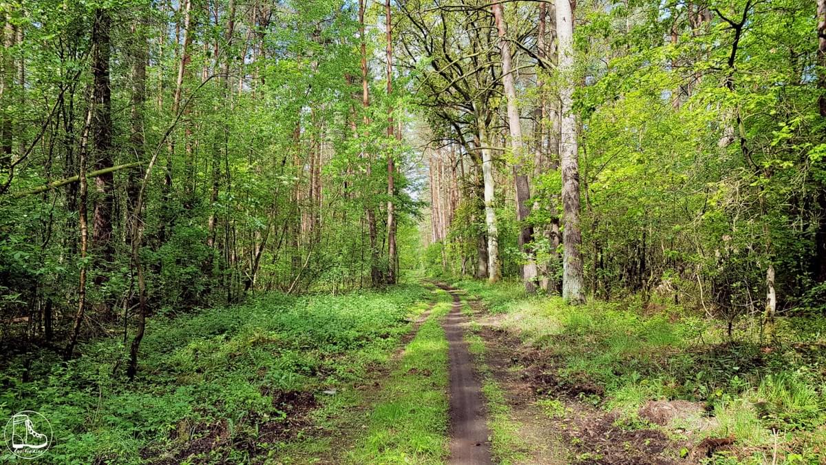 Wandern in Niedersachsen auf dem Fernwanderweg E1 Wandern in Niedersachsen auf dem Fernwanderweg E1