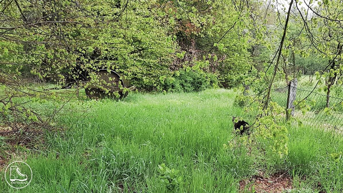 Fernwanderweg E1 Niedersachsen, Heidschnuckenweg, Celle, Cool Walking Fernwanderweg E1 Niedersachsen, Heidschnuckenweg, Celle, Cool Walking