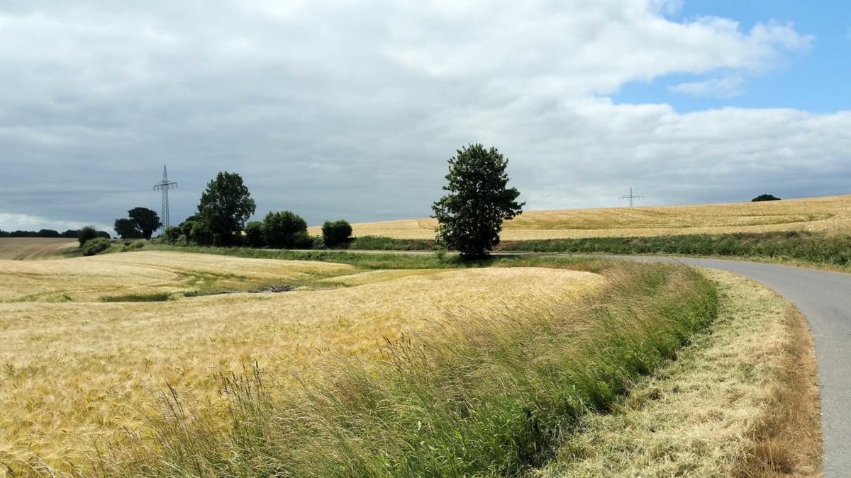 © Pia Hochhut - Cool Walking - Fenwanderweg E1 © Pia Hochhut - Cool Walking - Fenwanderweg E1