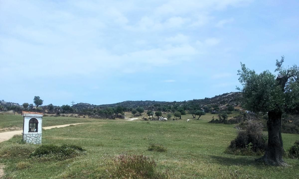 Sithonia - Profitis Ilias - Cool Walking Sithonia - Profitis Ilias - Cool Walking