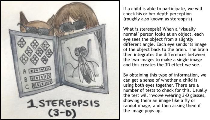 steps of the eye exam: stereopsis ; Eye Dogtor Julie ; @carmel.md steps of the eye exam: stereopsis ; Eye Dogtor Julie ; @carmel.md