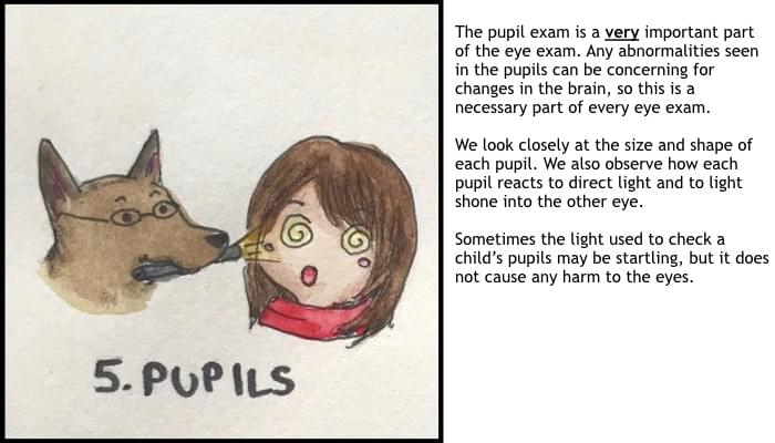steps of the eye exam; pupil check; Eye Dogtor Julie; @carmel.md steps of the eye exam; pupil check; Eye Dogtor Julie; @carmel.md