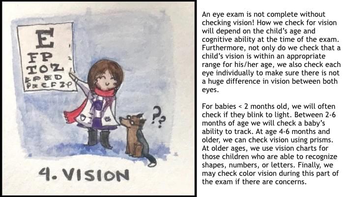 steps of the eye exam; vision; Eye Dogtor Julie; @carmel.md steps of the eye exam; vision; Eye Dogtor Julie; @carmel.md