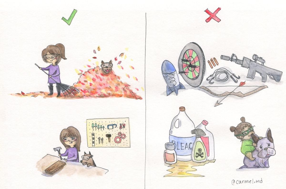 Eye Safety for Kids; eye protection; eye dogtor julie; @carmel.md Eye Safety for Kids; eye protection; eye dogtor julie; @carmel.md