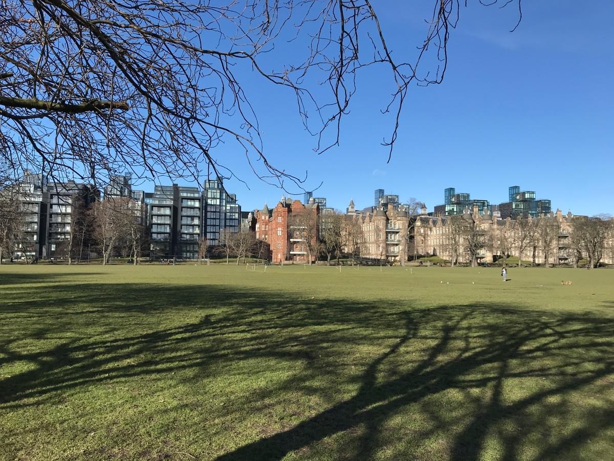 The Meadows in (rare) early spring sunshine The Meadows in (rare) early spring sunshine