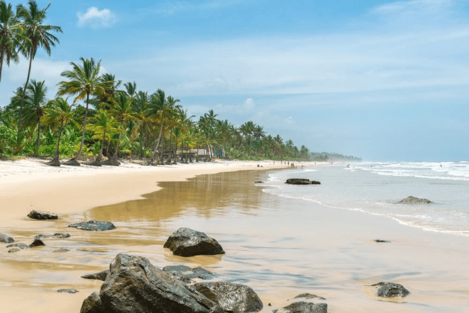 Itacare, Brazil close to Rio de Contas on eastern Brazil’s Cocoa Coast, palm-lined Concha Beach Itacare, Brazil close to Rio de Contas on eastern Brazil’s Cocoa Coast, palm-lined Concha Beach